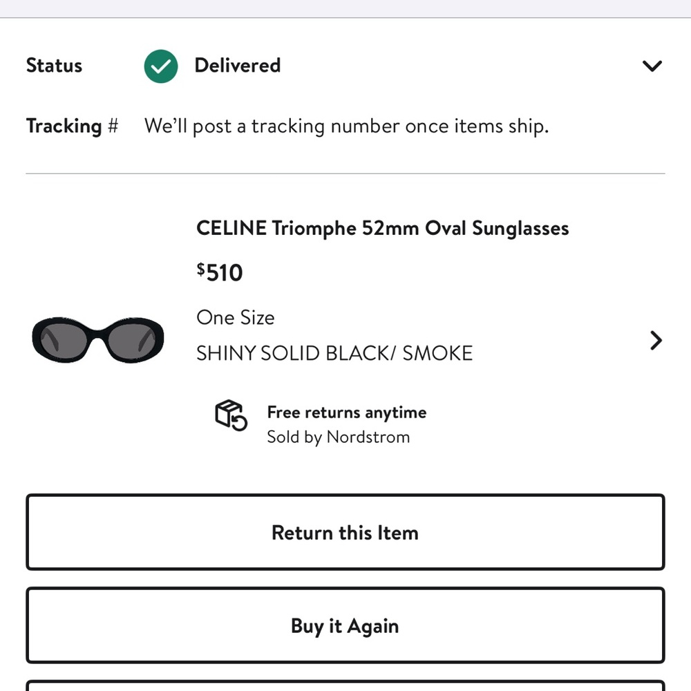 Celine Black Triomphe Oval Sunglasses - Picture 7 of 8